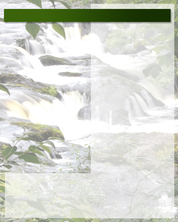 ../texture_waterfall_1.jpg
