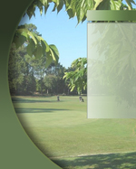 Real Estate Flyer Background Texture