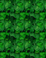 Real Estate Flyer Background Texture