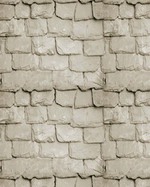 Real Estate Flyer Background Texture
