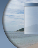 Real Estate Flyer Background Texture