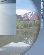 Real Estate Flyer Background Texture