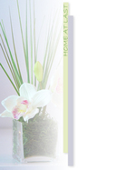 Real Estate Flyer Background Texture