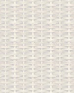 Real Estate Flyer Background Texture