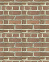 ../texture_brick_brown.jpg