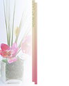 ../texture_pink_orchids_tall_grass.jpg