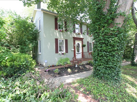 Front View