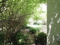 Side Yard